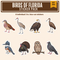 Birds of Florida Sticker Pack: eight individual 3 inch stickers of a barred owl, bald eagle, sandhill crane, limpkin, belted kingfisher, wild turkey, Key West quail-dove and white-crowned pigeon