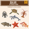 Sea Life Sticker Pack: seven individual 3 inch stickers of a manatee, dolphin, red cushion starfish, red hogfish, green sea turtle, goliath grouper and Florida spiny lobster