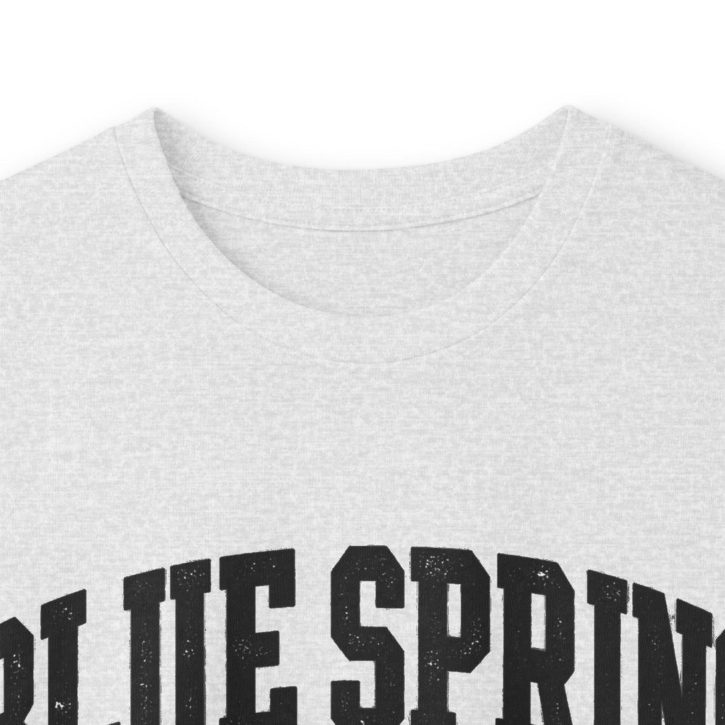 Blue Spring State Park Manatee Design- Destination Logo