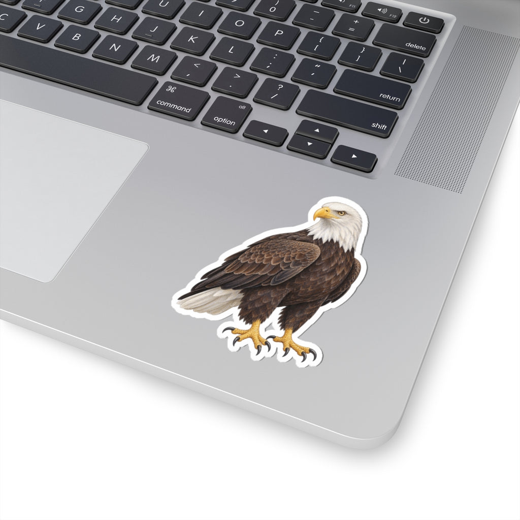 Bald Eagle Kiss-Cut Sticker — Realistic Decal