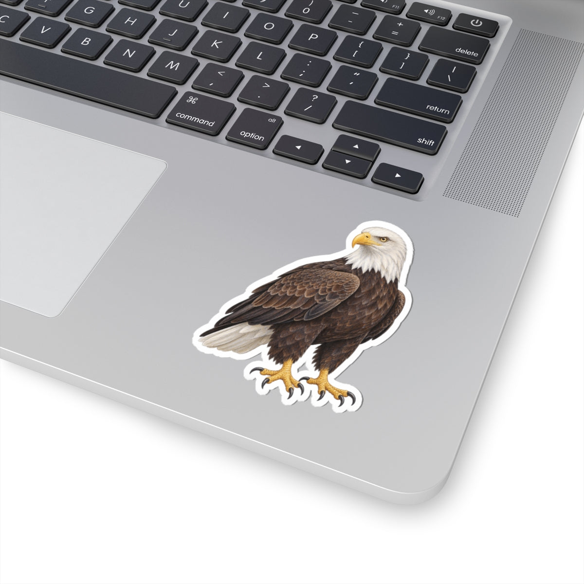 Bald Eagle Kiss-Cut Sticker — Realistic Decal