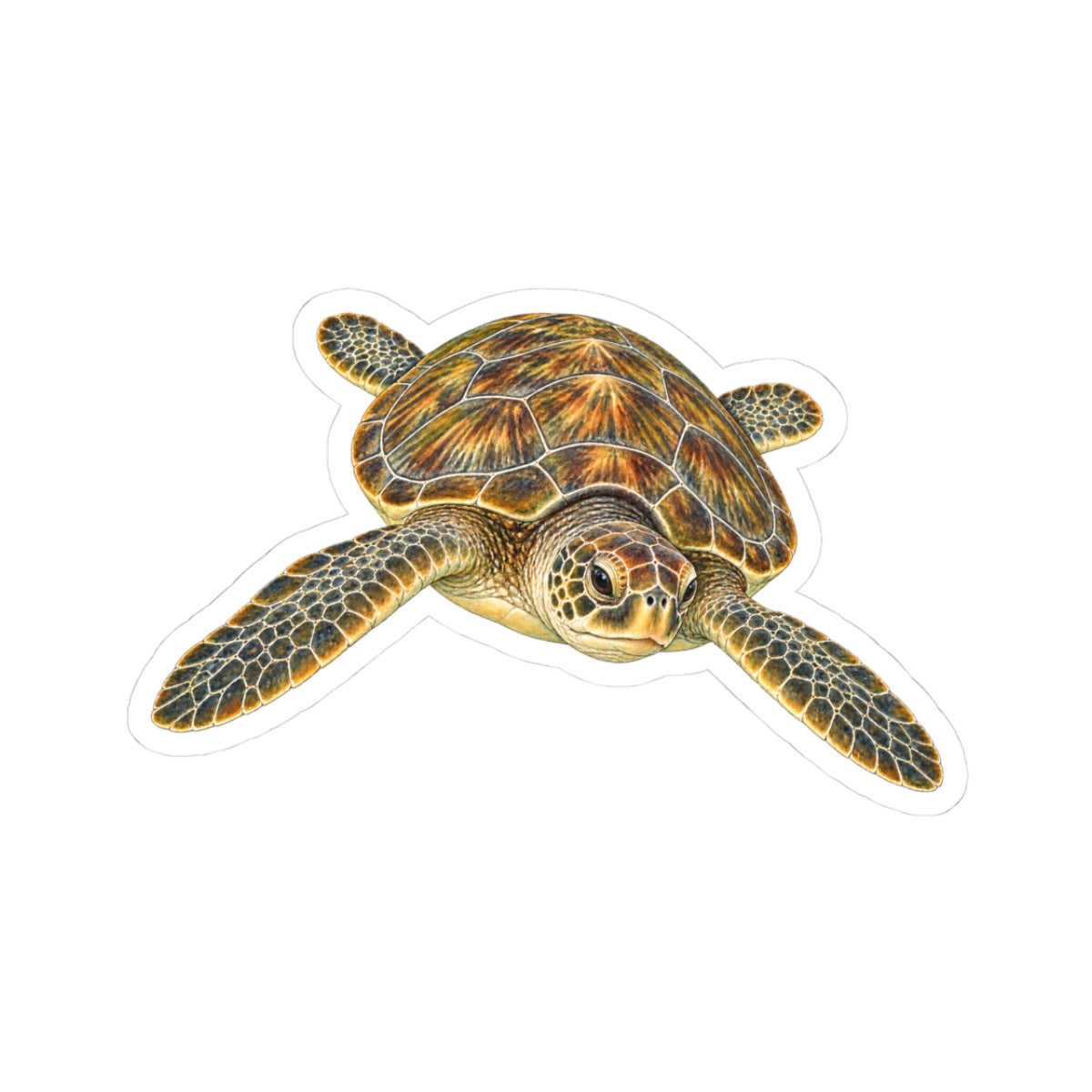 Green Sea Turtle Kiss-Cut Sticker — Realistic Ocean Wildlife Decal