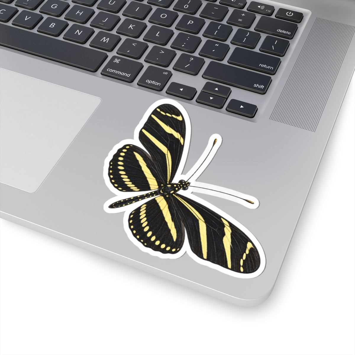 Zebra Longwing Butterfly Sticker — Realistic Decal