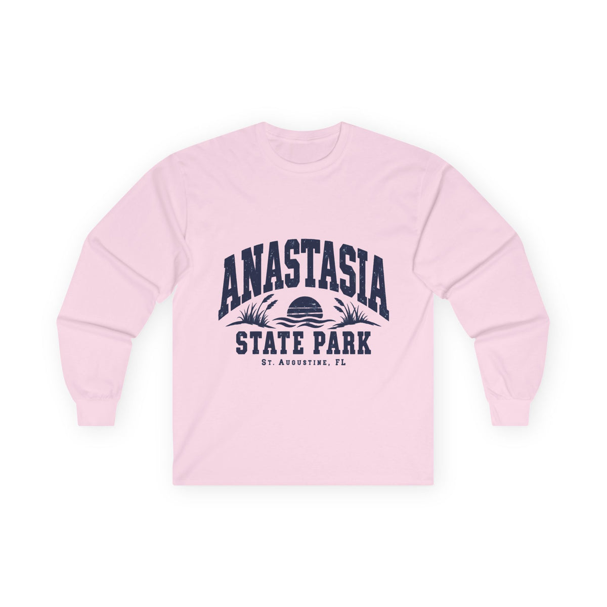 Anastasia State Park- Destination Logo