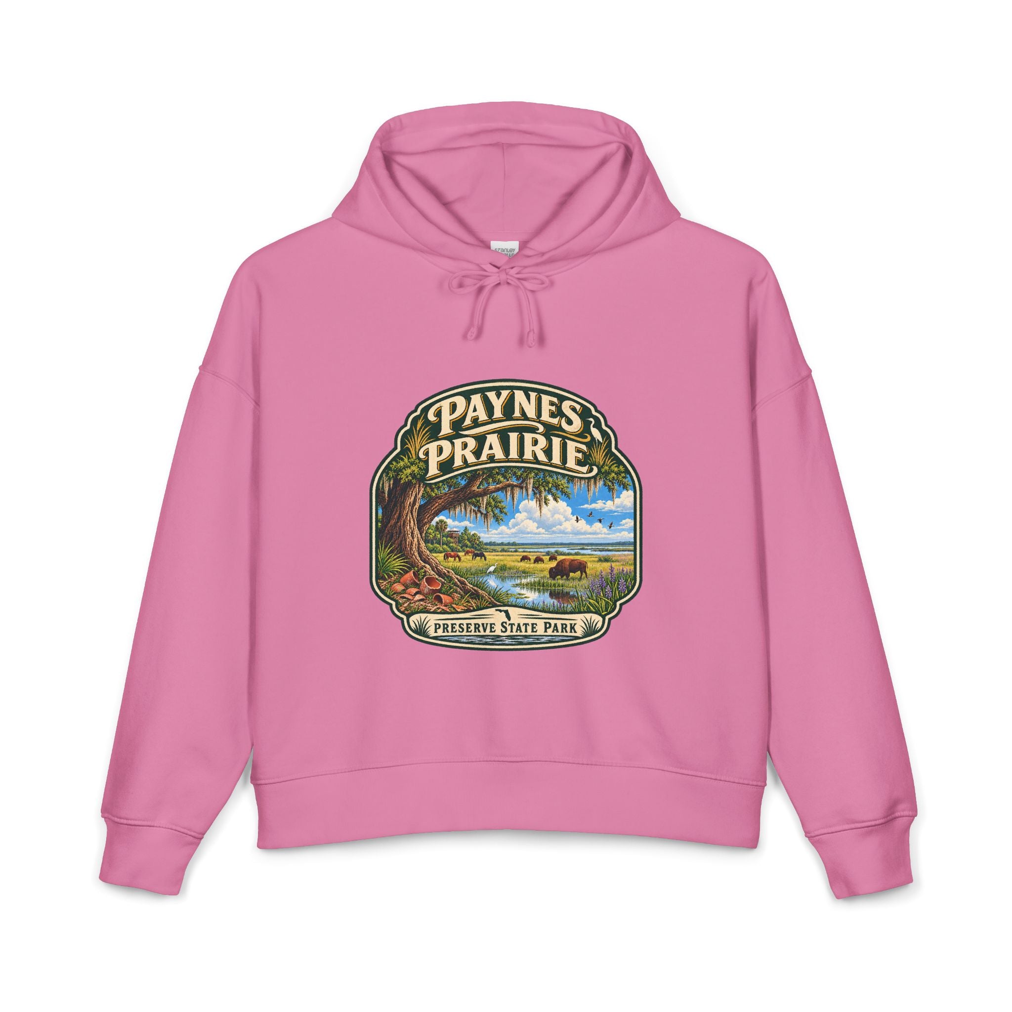 Paynes Prairie — Vintage Hoodie