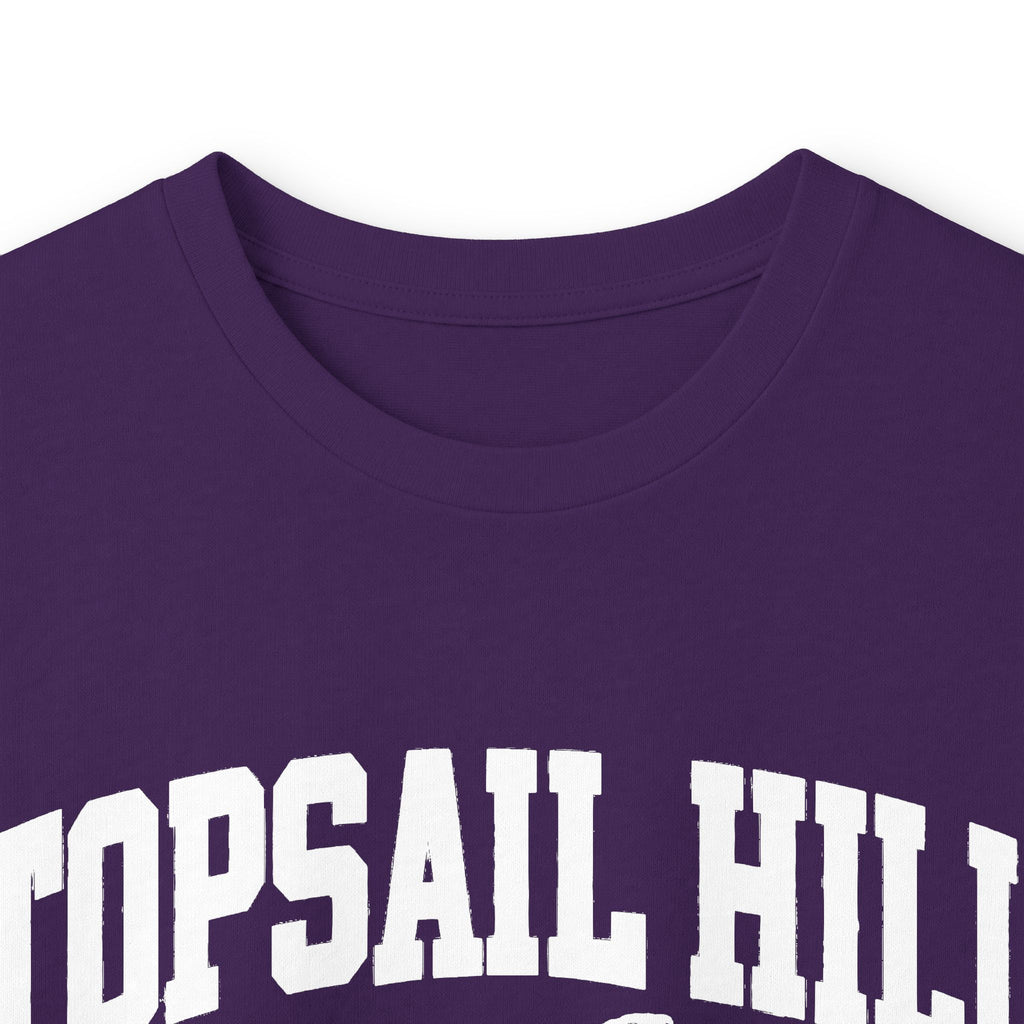 Topsail Hill Preserve State Park Vintage Logo- Long Sleeve Tee