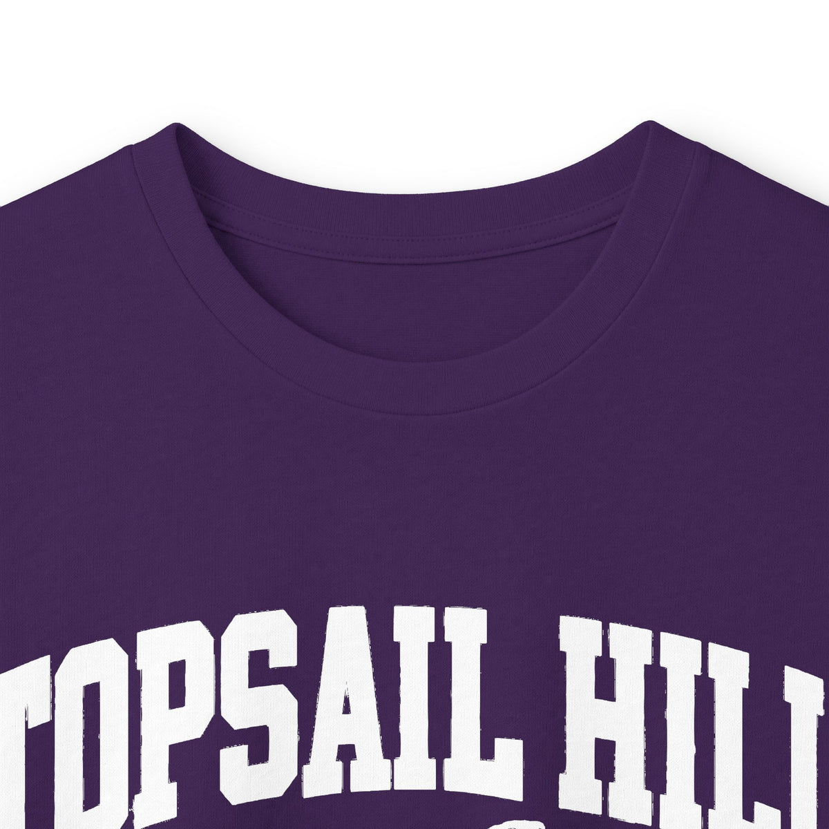 Topsail Hill Preserve State Park Vintage Logo- Long Sleeve Tee