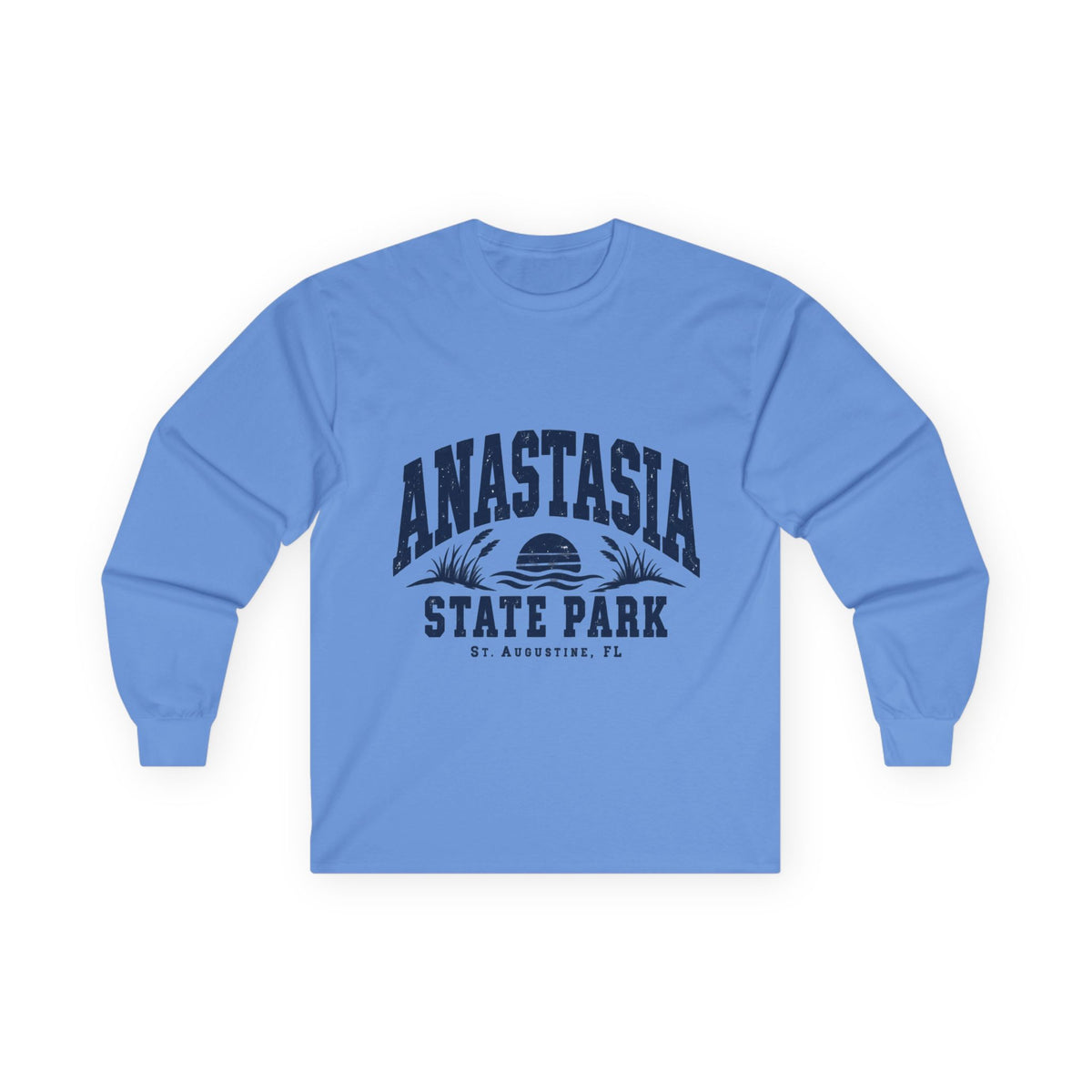 Anastasia State Park- Destination Logo