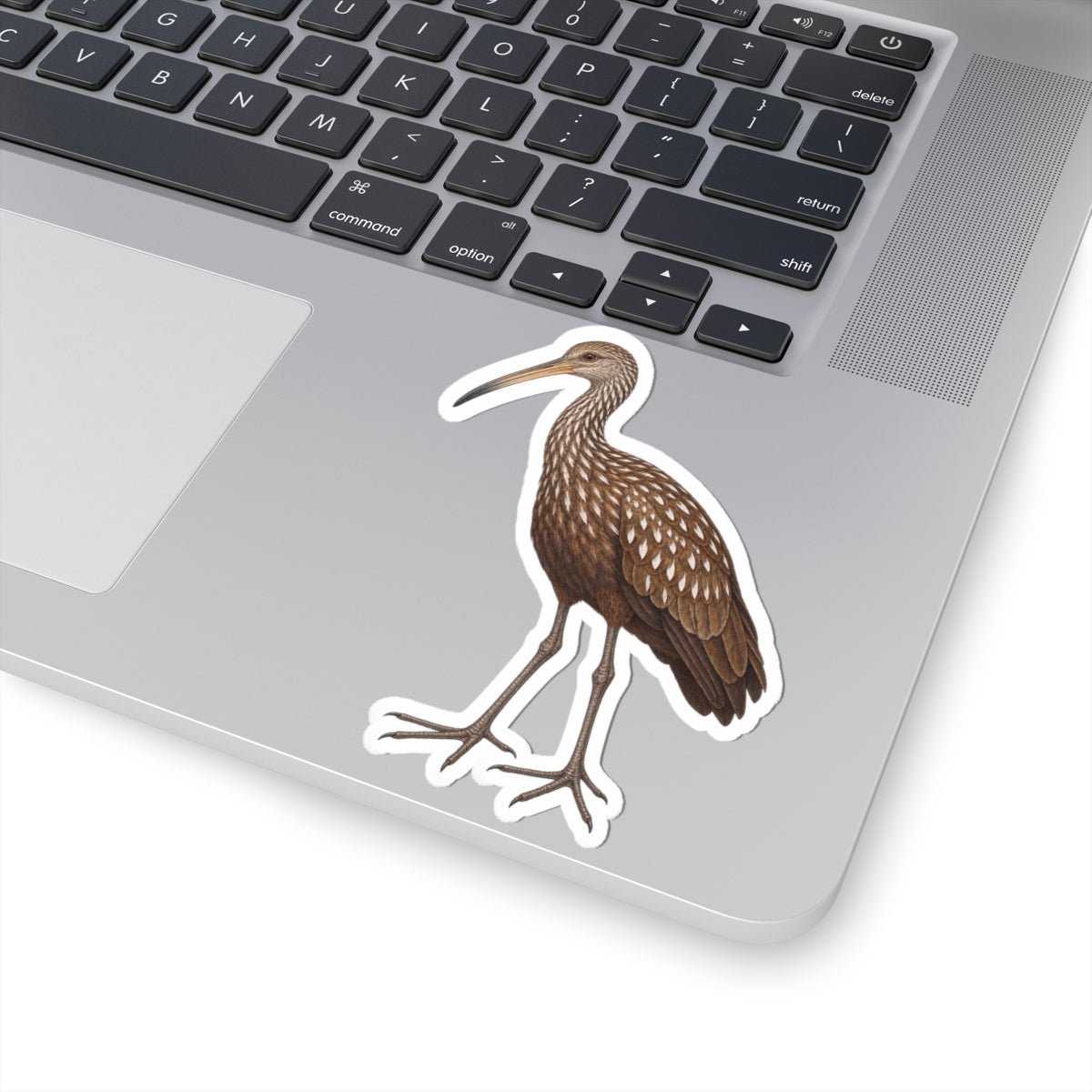 Limpkin Kiss-Cut Sticker — Realistic Wading Bird Decal