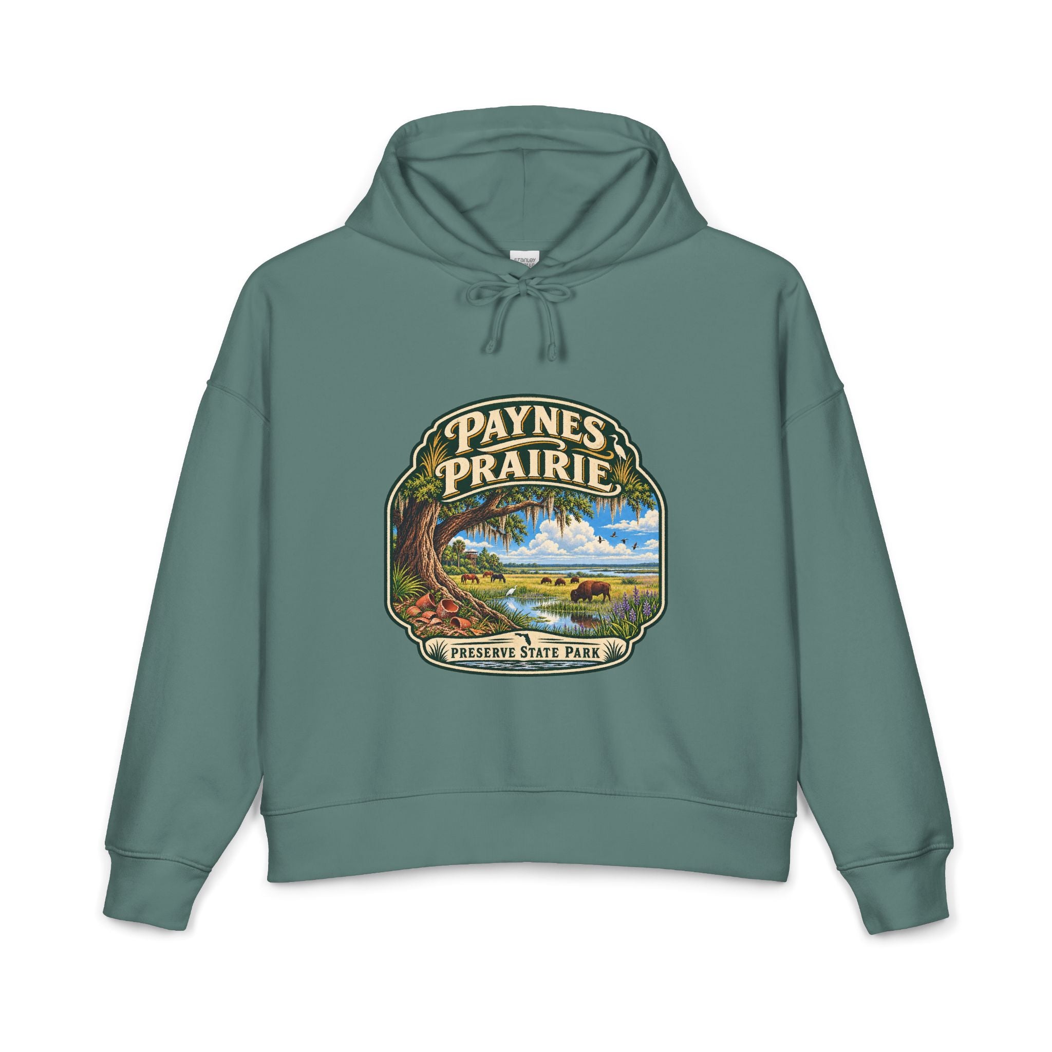 Paynes Prairie — Vintage Hoodie