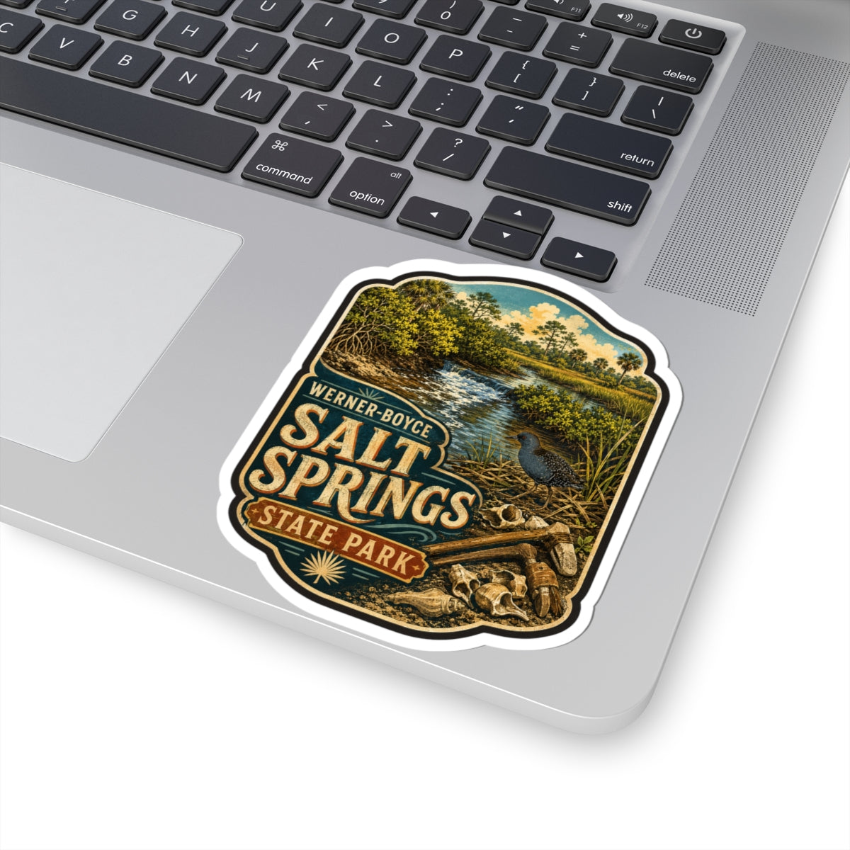 Salt Springs State Park Sticker — Vintage Nature Park Decal