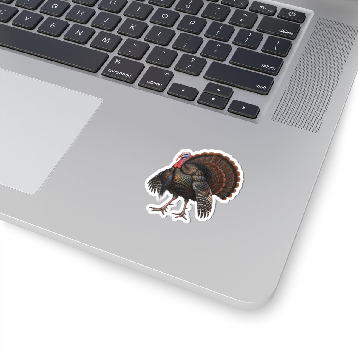 Wild Osceola Turkey Sticker — Realistic Decal