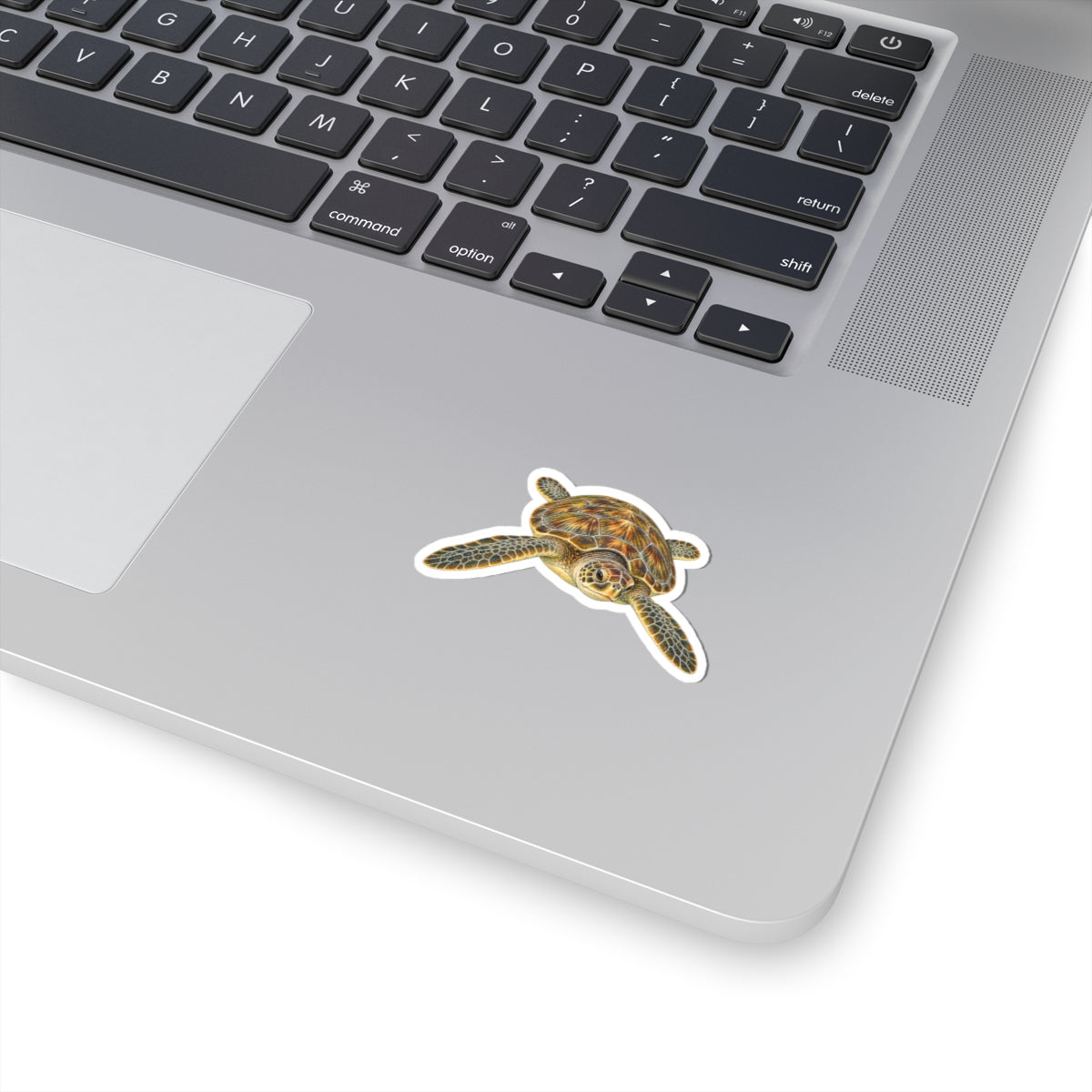 Green Sea Turtle Kiss-Cut Sticker — Realistic Ocean Wildlife Decal