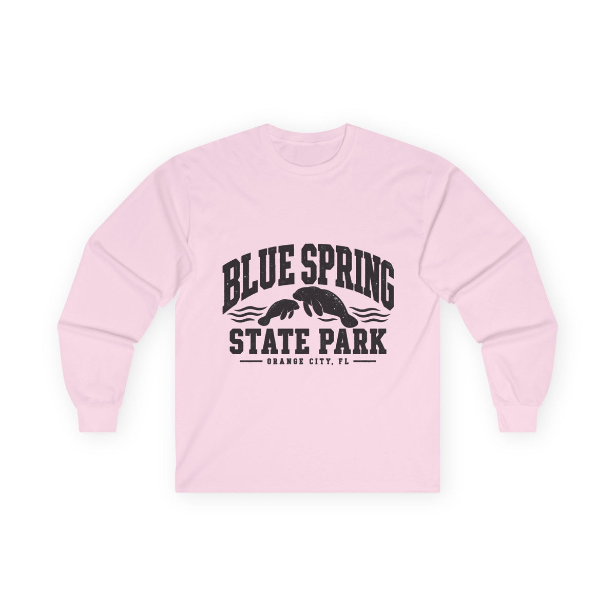 Blue Spring State Park Manatee Design- Destination Logo