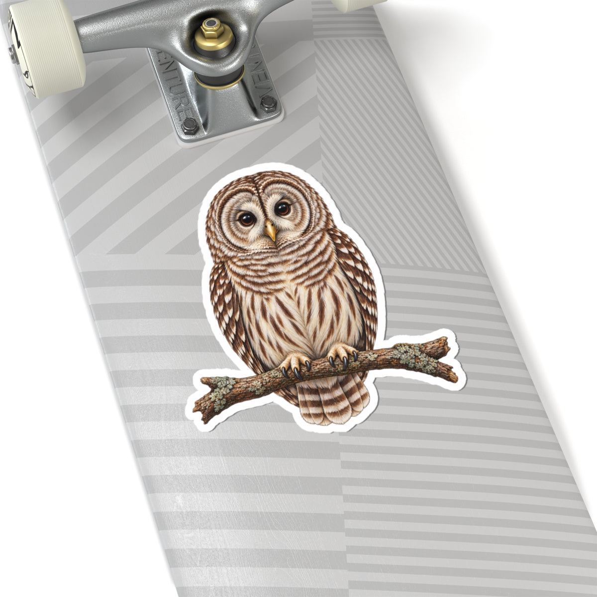 Barred Owl Sticker — Realistic Decal