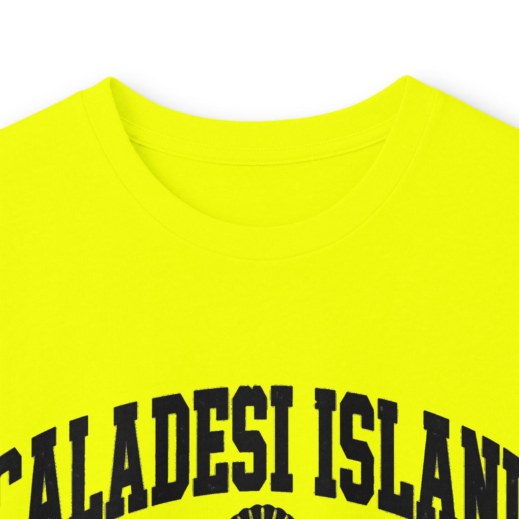 Caladesi Island State Park Vintage Logo- Long Sleeve Tee