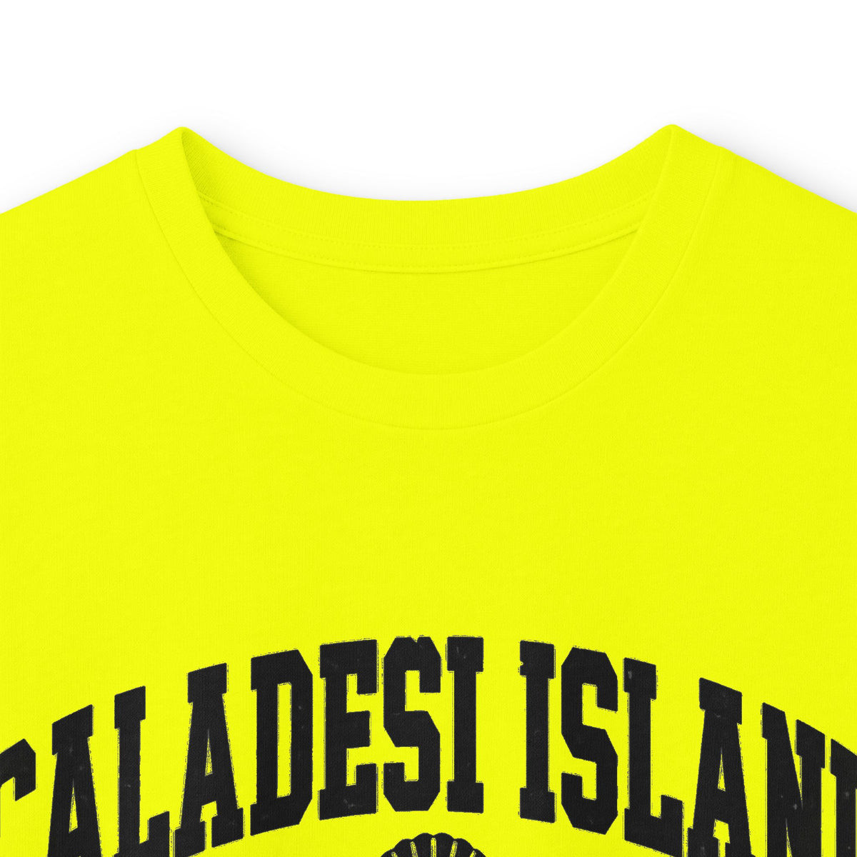 Caladesi Island State Park Vintage Logo- Long Sleeve Tee
