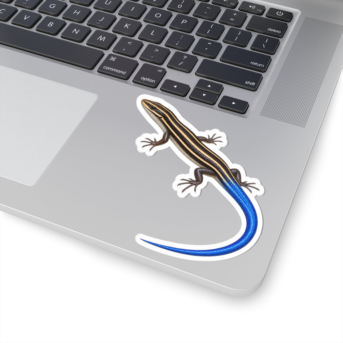 Southeastern Five-Lined Skink Sticker — Realistic Decal