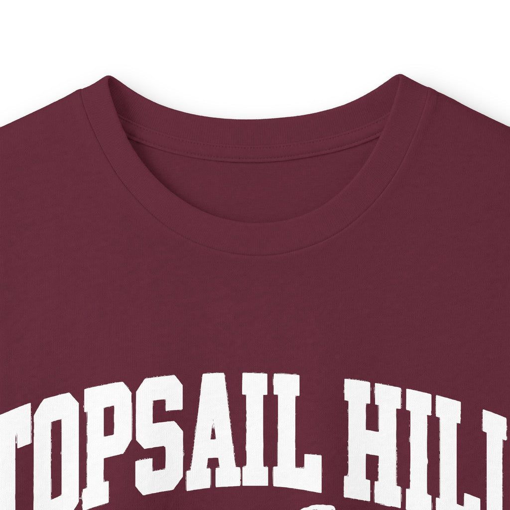 Topsail Hill Preserve State Park Vintage Logo- Long Sleeve Tee