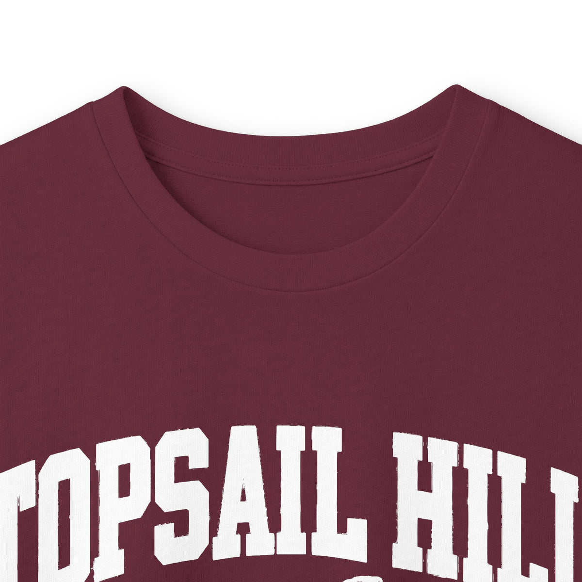 Topsail Hill Preserve State Park Vintage Logo- Long Sleeve Tee