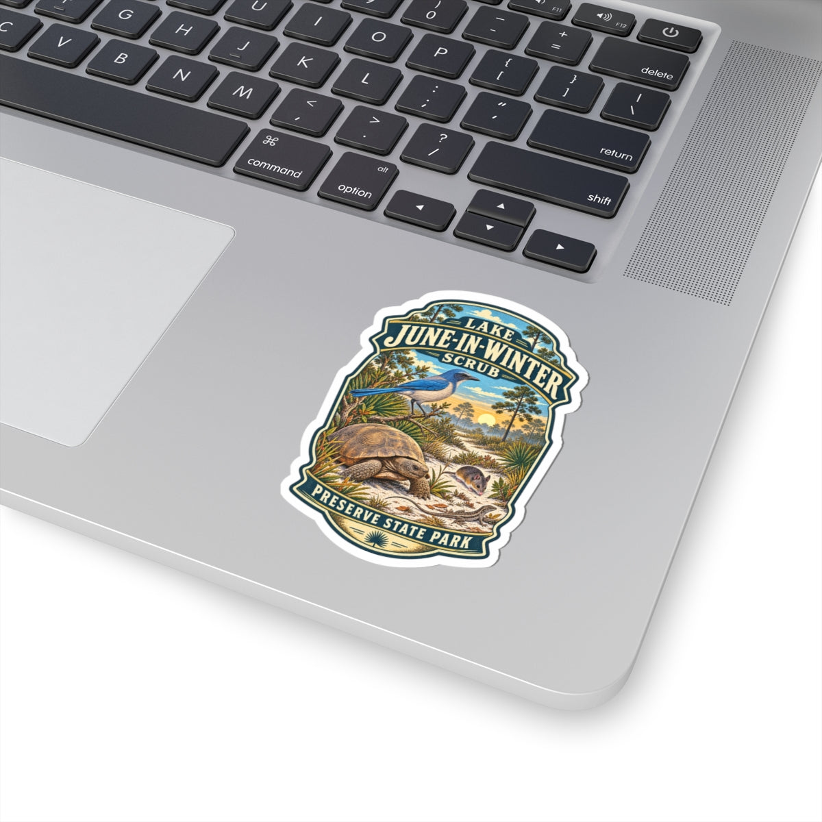 Lake June-in-Winter Scrub State Park Sticker — Vintage Kiss-Cut Sticker