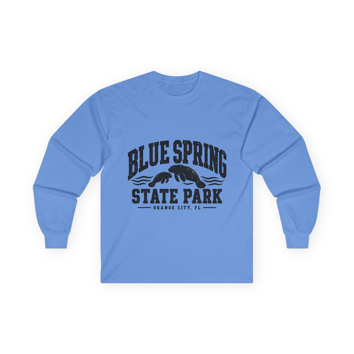Blue Spring State Park Manatee Design- Destination Logo