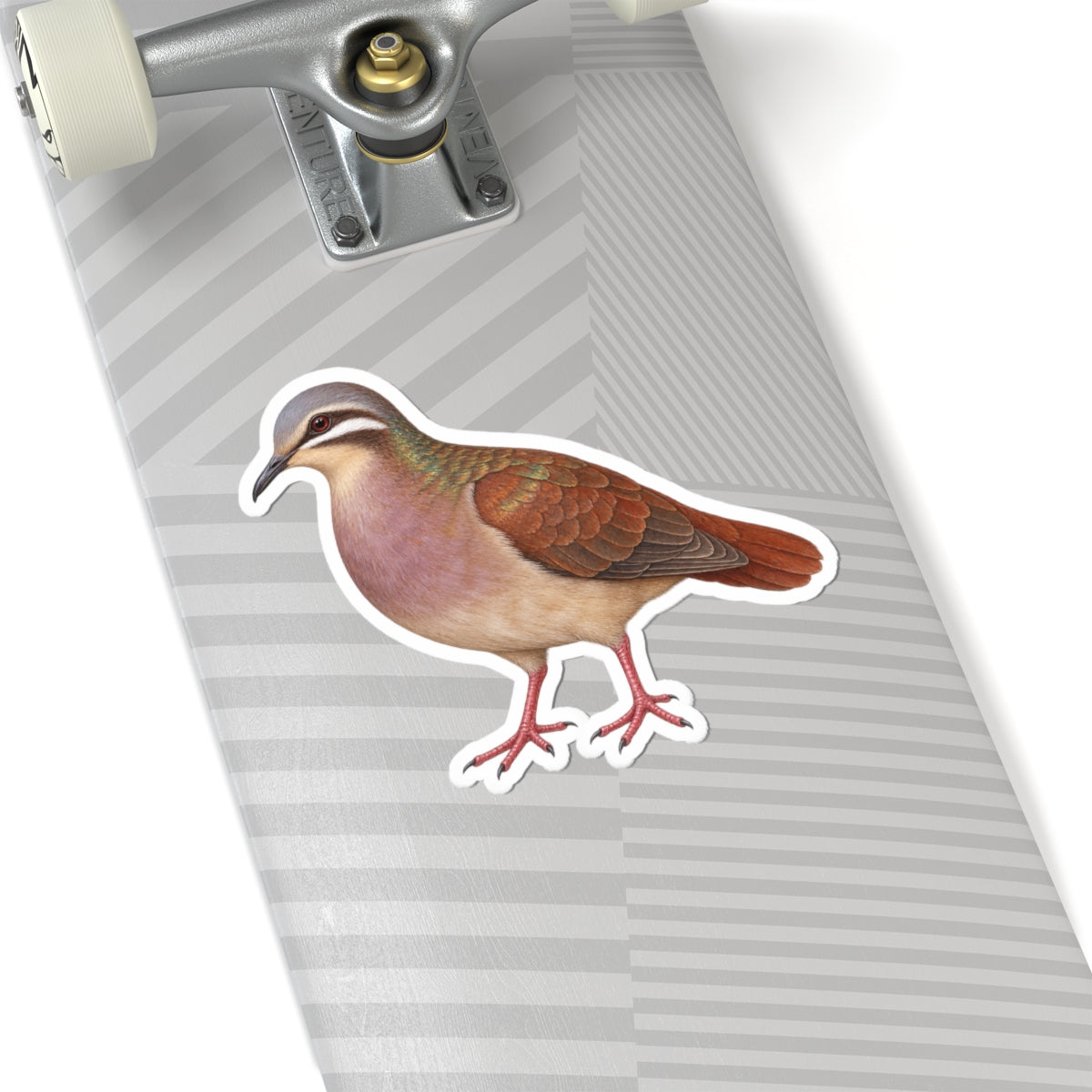 Key West Quail-Dove Kiss-Cut Sticker — Realistic Decal