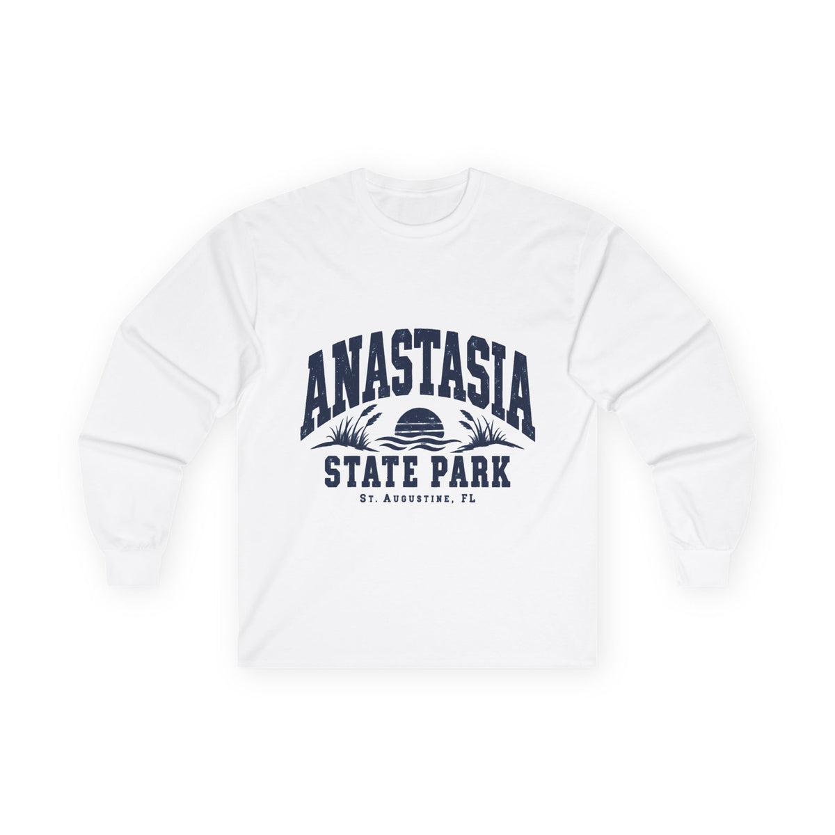 Anastasia State Park- Destination Logo