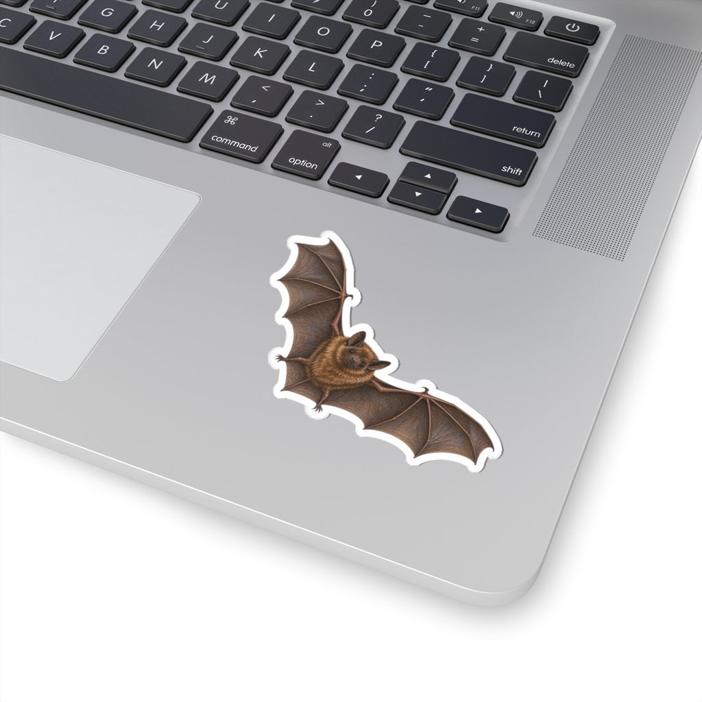 Flying Brown Bat Sticker — Realistic Decal