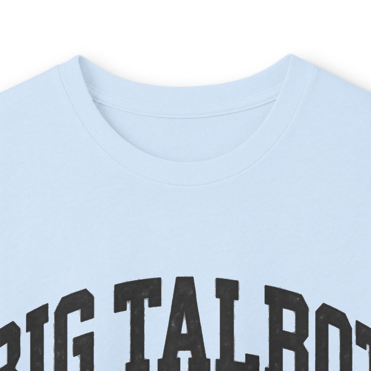 Big Talbot Island State Park - Destination Logo