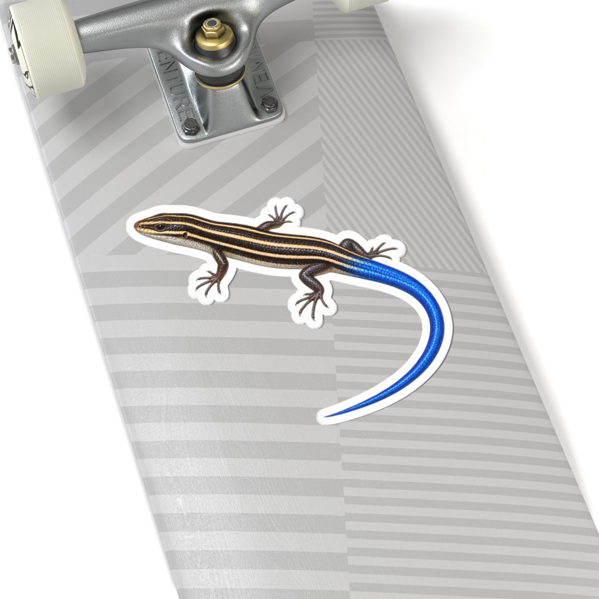 Southeastern Five-Lined Skink Sticker — Realistic Decal