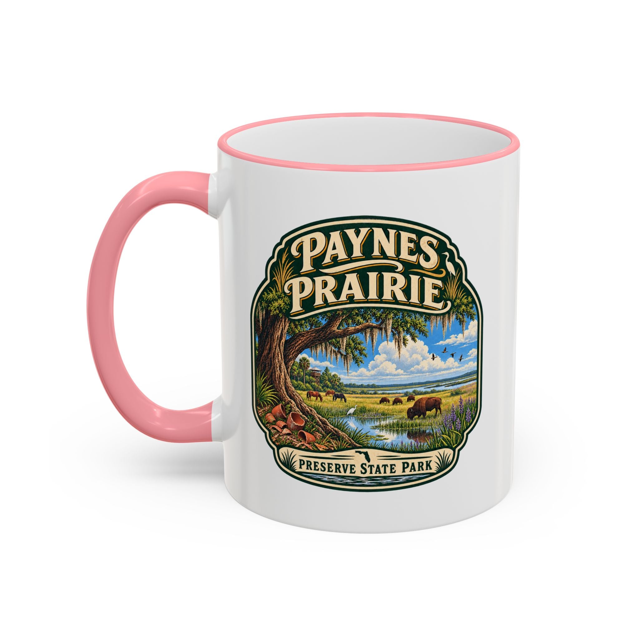 Paynes Prairie Accent Rim & Handle 11oz/15oz