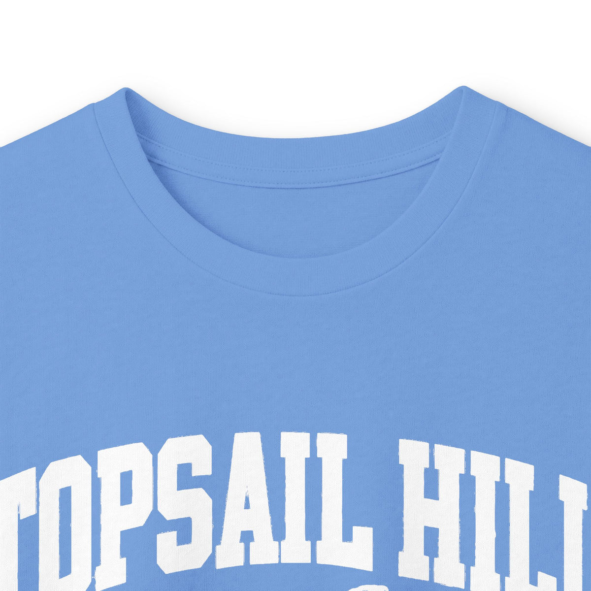 Topsail Hill Preserve State Park Vintage Logo- Long Sleeve Tee