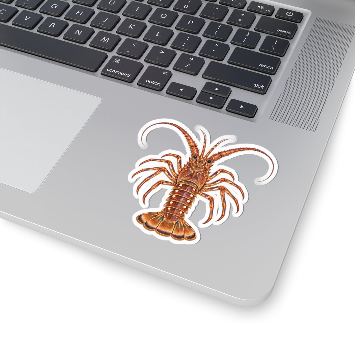 Florida Spiny Lobster Kiss-Cut Sticker — Realistic Decal