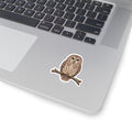 Barred Owl Sticker — Realistic Decal