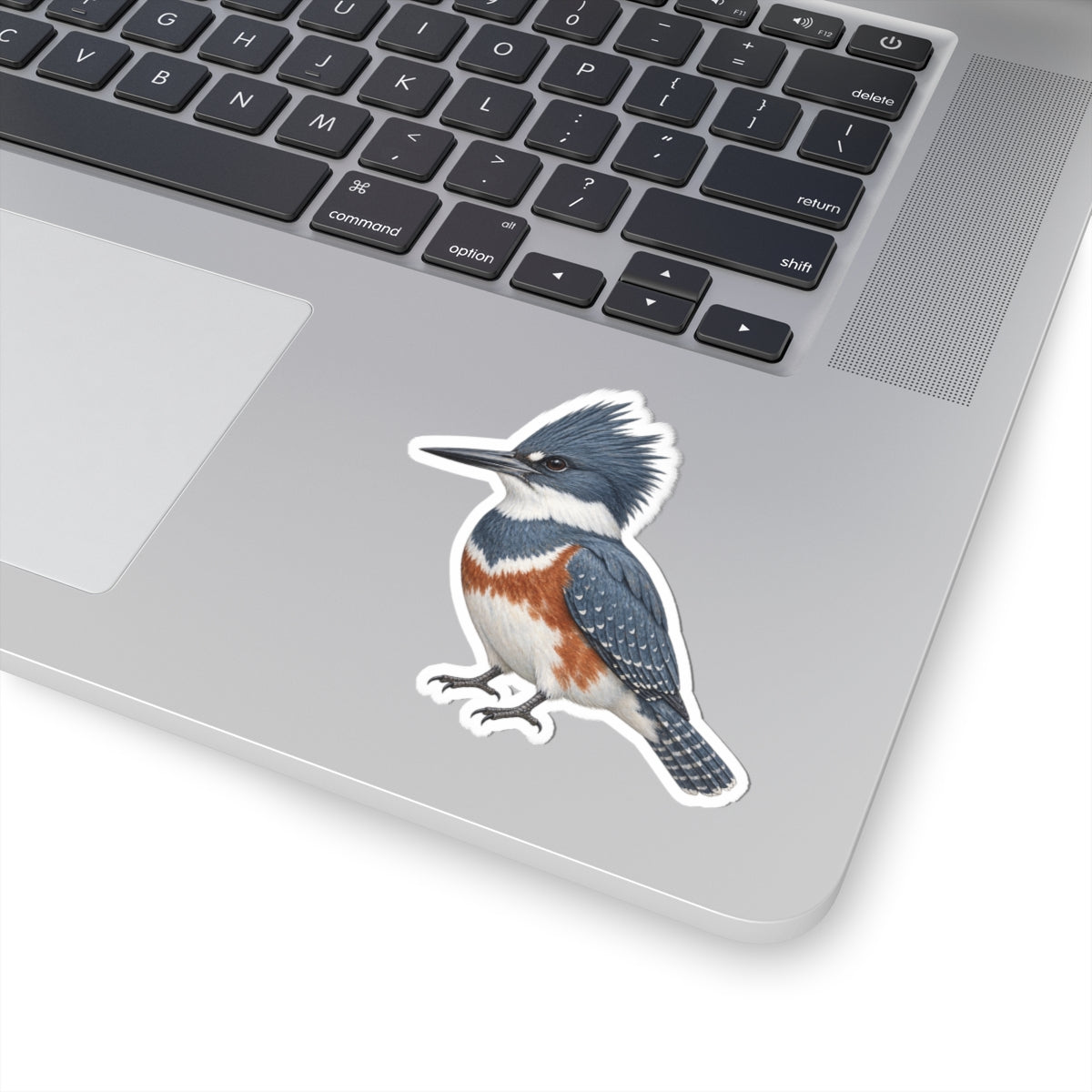 Belted Kingfisher Bird Sticker — Realistic Watercolor Kingfisher Kiss-Cut Vinyl Sticker