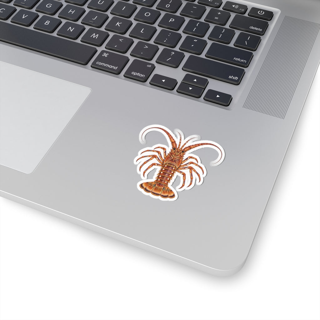 Florida Spiny Lobster Kiss-Cut Sticker — Realistic Decal