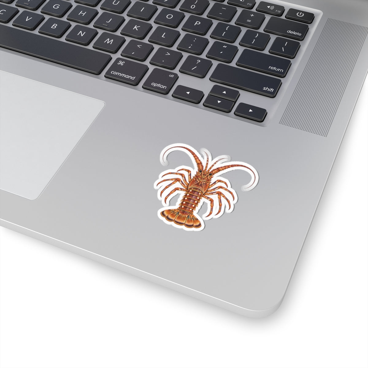 Florida Spiny Lobster Kiss-Cut Sticker — Realistic Decal