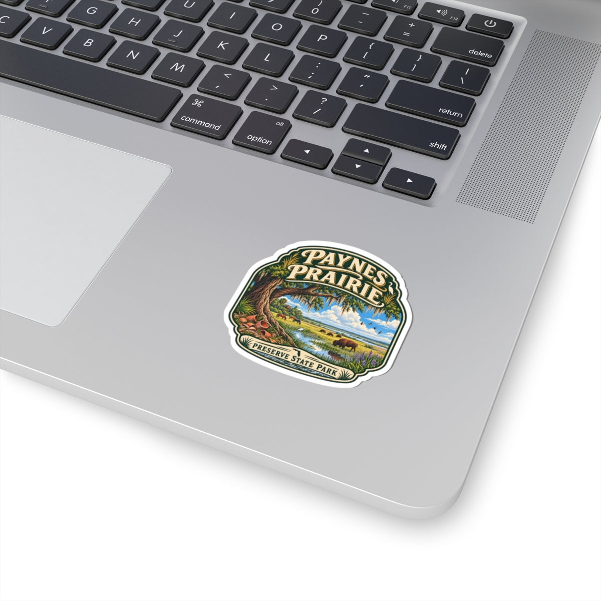 Paynes Prairie Preserve State Park Sticker — Scenic Vintage Nature Kiss-Cut Decal