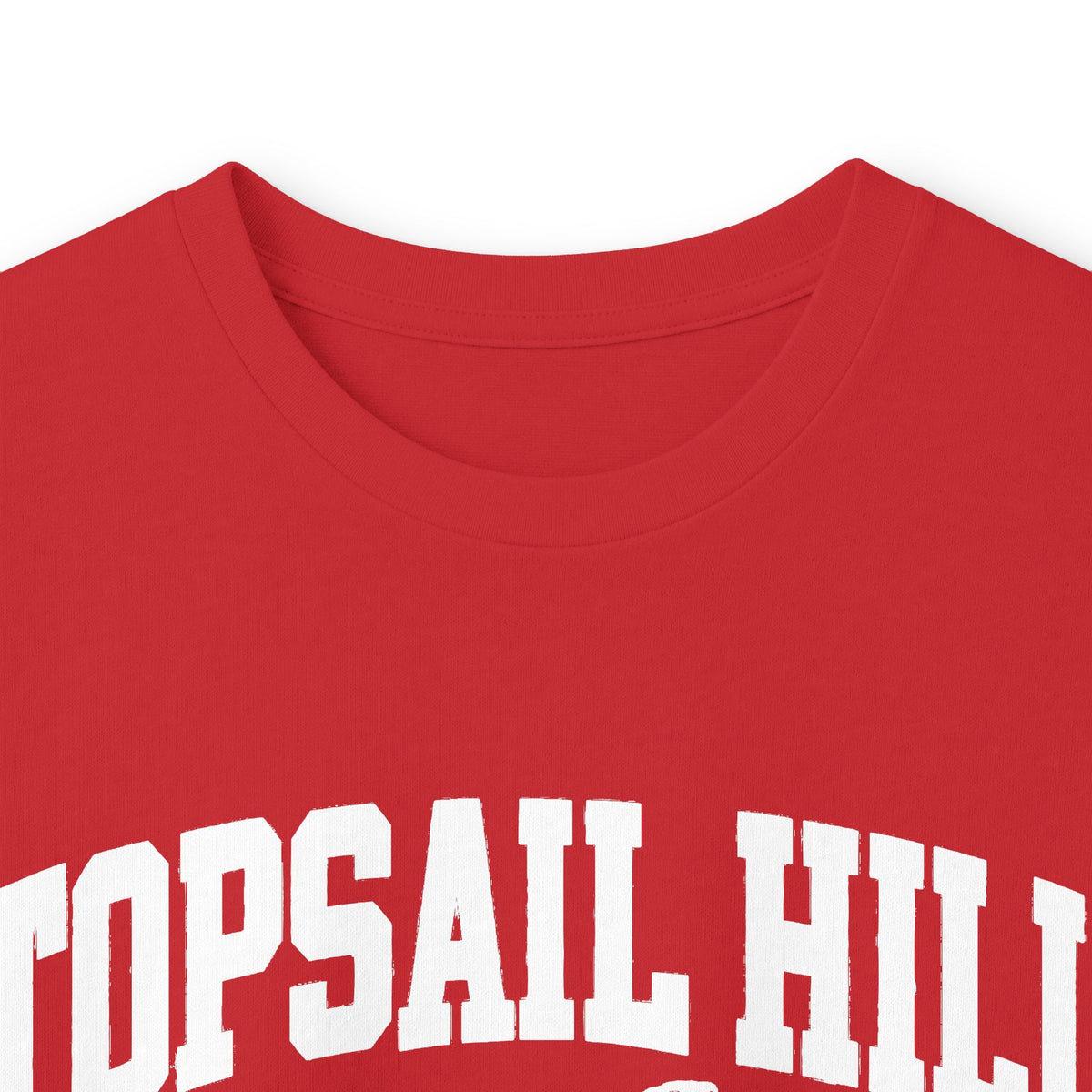 Topsail Hill Preserve State Park Vintage Logo- Long Sleeve Tee