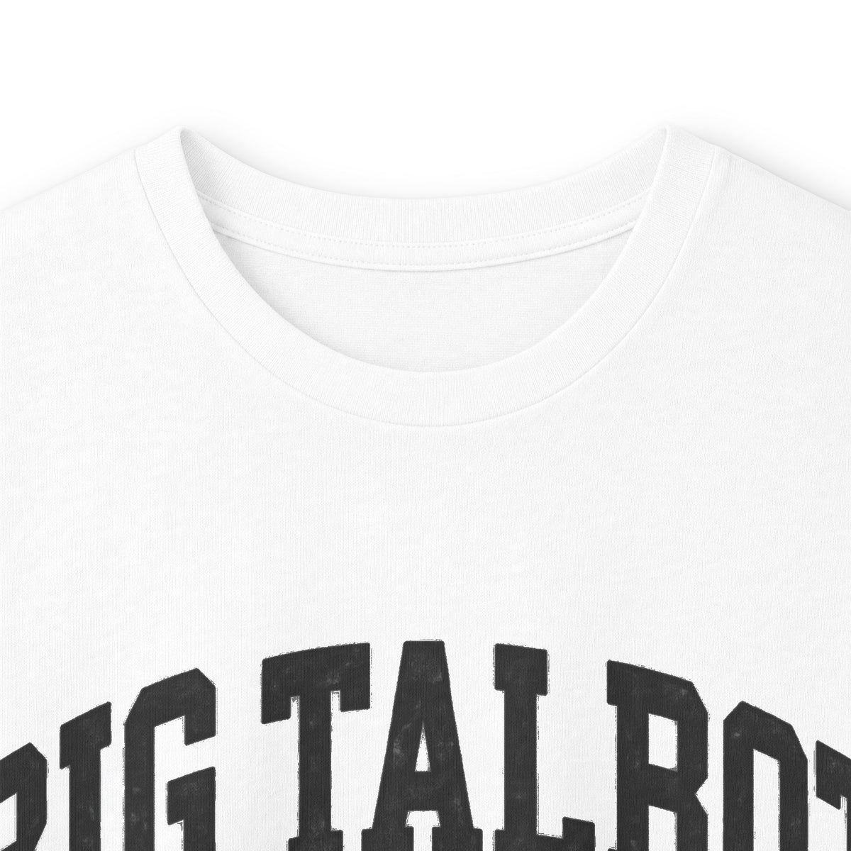 Big Talbot Island State Park - Destination Logo