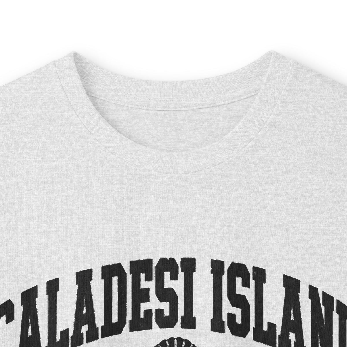 Caladesi Island State Park Vintage Logo- Long Sleeve Tee
