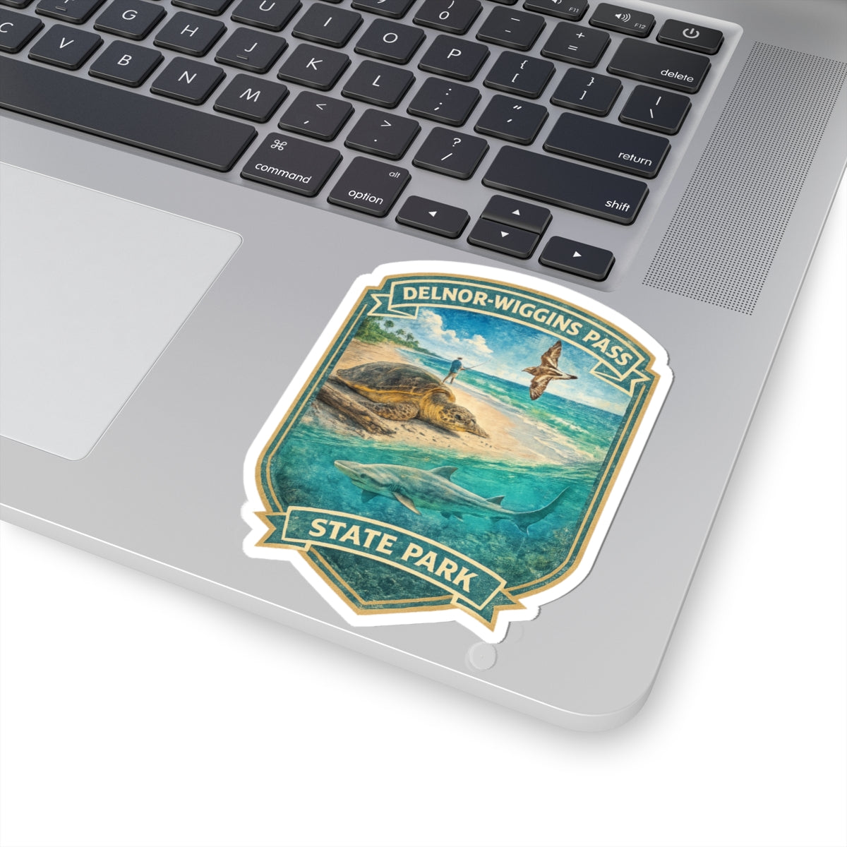 Delnor-Wiggins Pass State Park Sticker — Sea Turtle & Shark Nature Decal