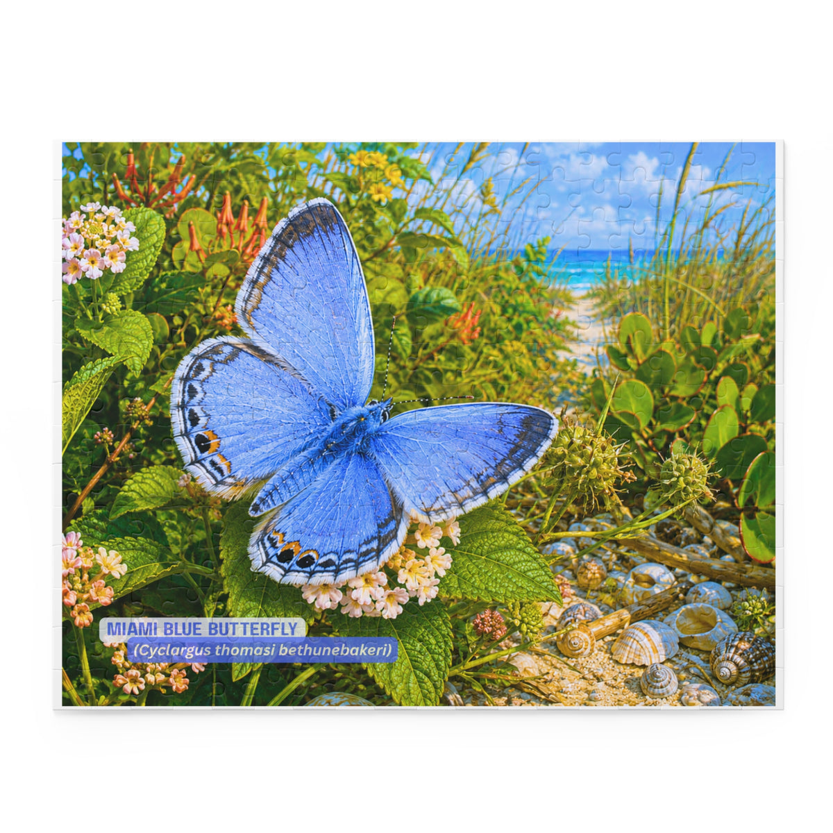 Miami Blue Butterfly Puzzle – Scenic Nature Jigsaw (120/252/500 pcs)