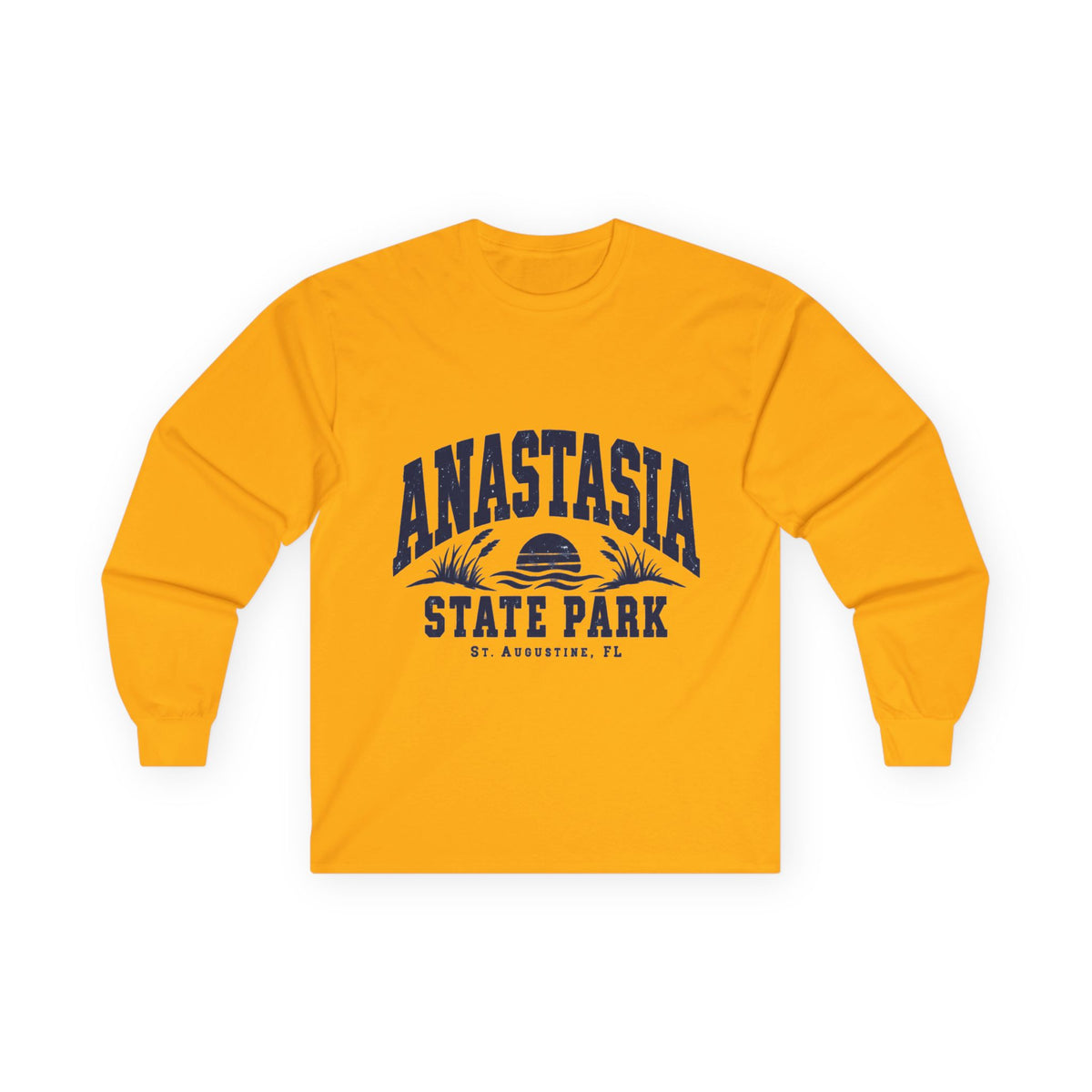 Anastasia State Park- Destination Logo