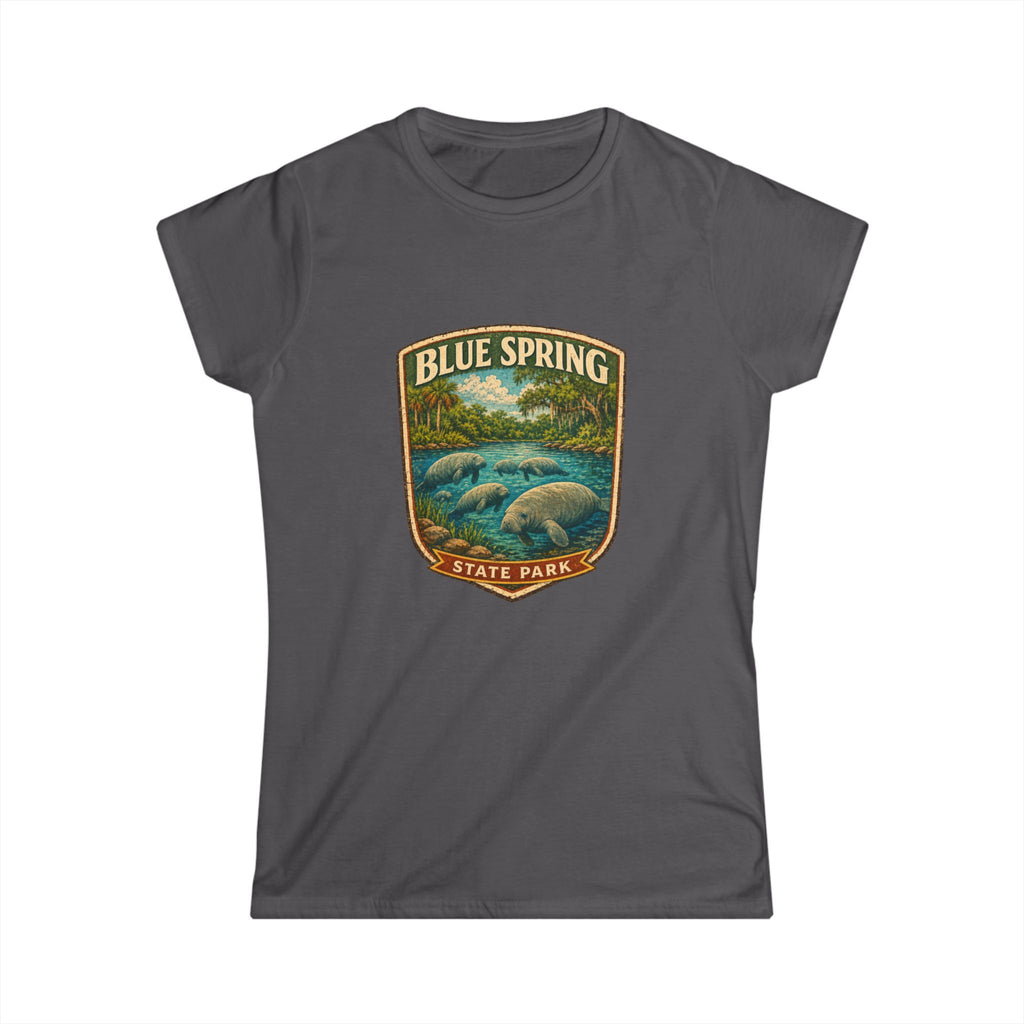 Blue Spring- Vintage Tee