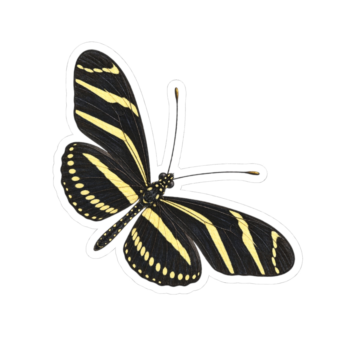 Zebra Longwing Butterfly Sticker — Realistic Decal