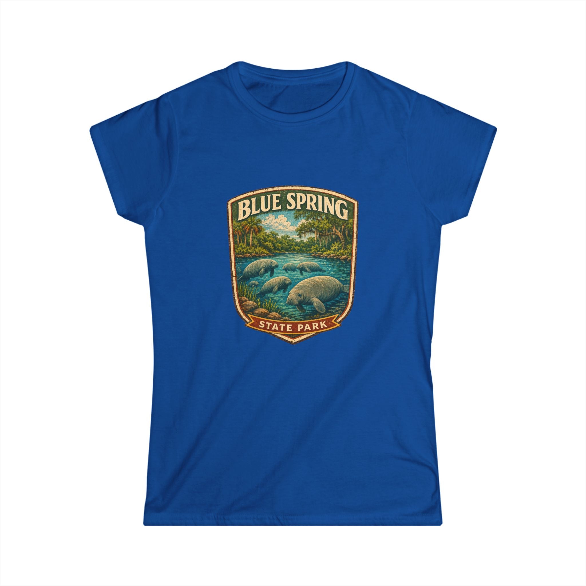Blue Spring- Vintage Tee