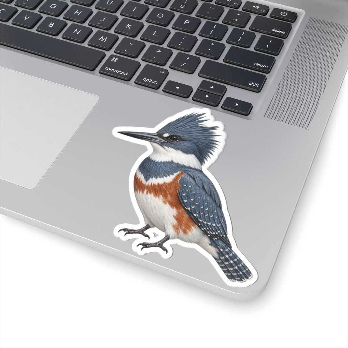 Belted Kingfisher Bird Sticker — Realistic Watercolor Kingfisher Kiss-Cut Vinyl Sticker