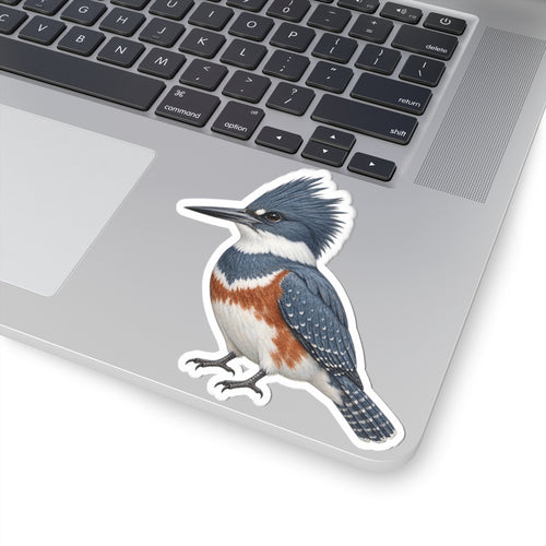 Belted Kingfisher Bird Sticker — Realistic Watercolor Kingfisher Kiss-Cut Vinyl Sticker